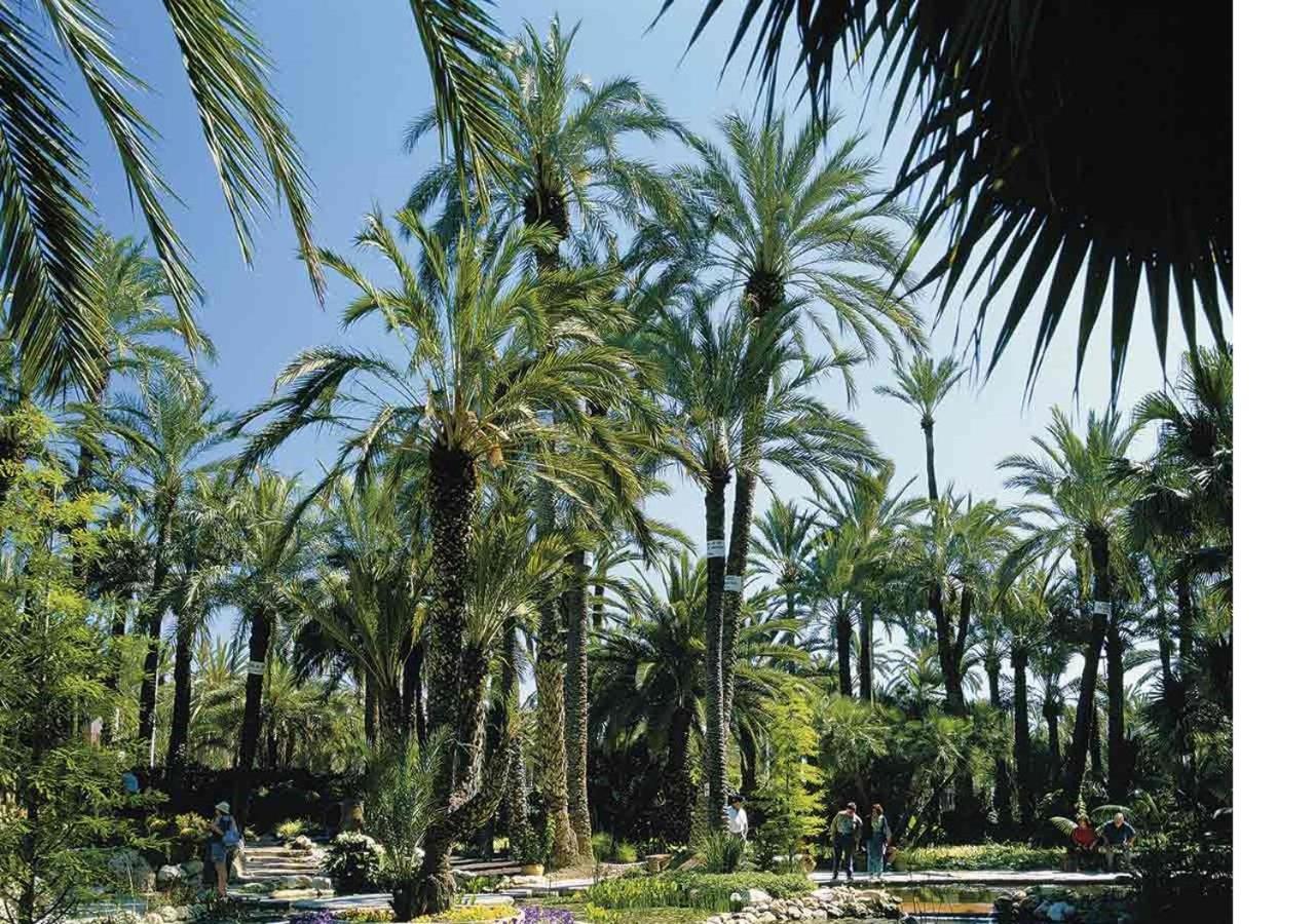 Luxury New Loft City Centre & Castle, Alicante Eksteriør bilde